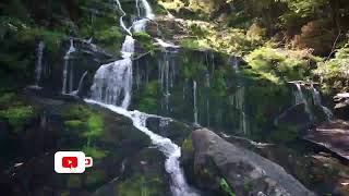 Alivie la Ansiedad, meditacin guiada - msica para dormir.  #msicaparadormir  #meditacion.