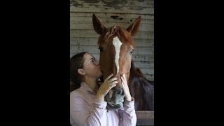 Goodbye, Chicago   ~how much it hurts~