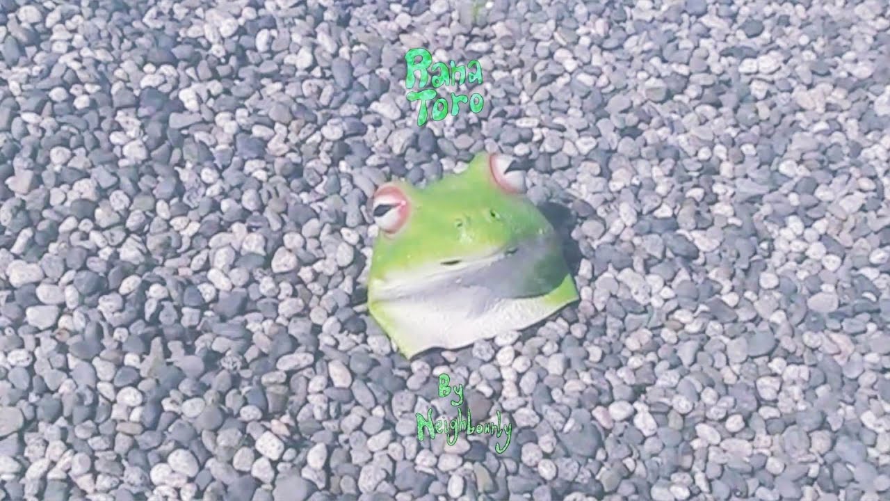 Zubc_UFRDPE