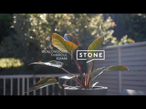 1/11 Sea View Road, Wollongong - Michael Schlegel Stone Real Estate Illawarra