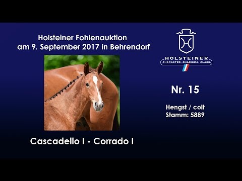 Nr. 15 v. Cascadello I - Corrado I