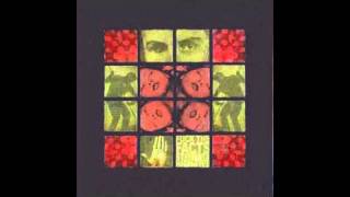 Fuck the Facts - What's Left Behind