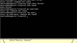 Unix shell scripting tutorial part 1 Environment variable