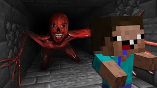 ¡OH TERROR DE LA VIDA DE CARNE! NOOB ENCONTRO AL VITA CARNIS ¡¡NUNCA HAGAS ESTO!! MINECRAFT