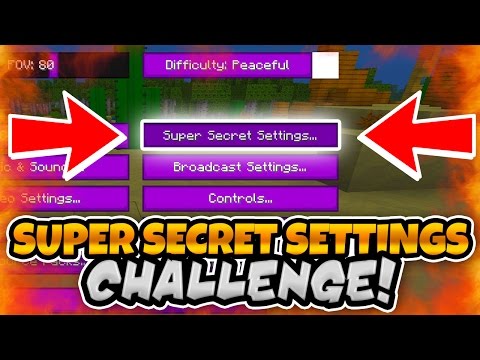 Super Secret Settings Challenge! | Minecraft Survival Games w/ Zach!