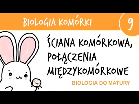 Cytology 9 - Cell wall and intercellular junctions - advanced high school biology for the final exam