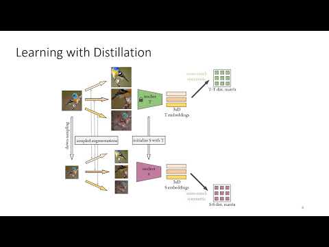 Large-to-small Image Resolution Asymmetry in Deep Metric Learning