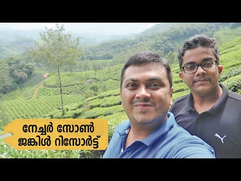 Nature Zone Resort in Munnar, Best Resort in Munnar for Nature Lovers & Honeymoon Couples