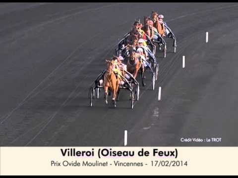 Oiseau de Feux - Prix Ovide Moulinet - Vincennes