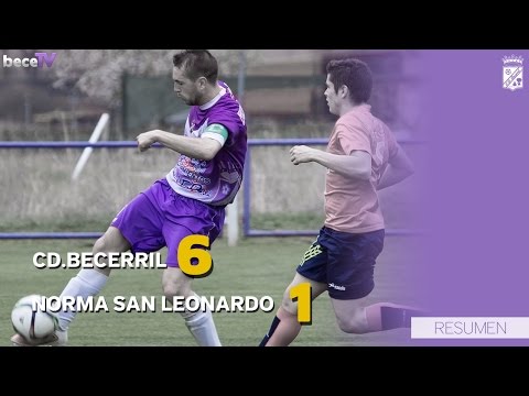 Resumen CDBecerril 6 - Norma San Leonardo 1