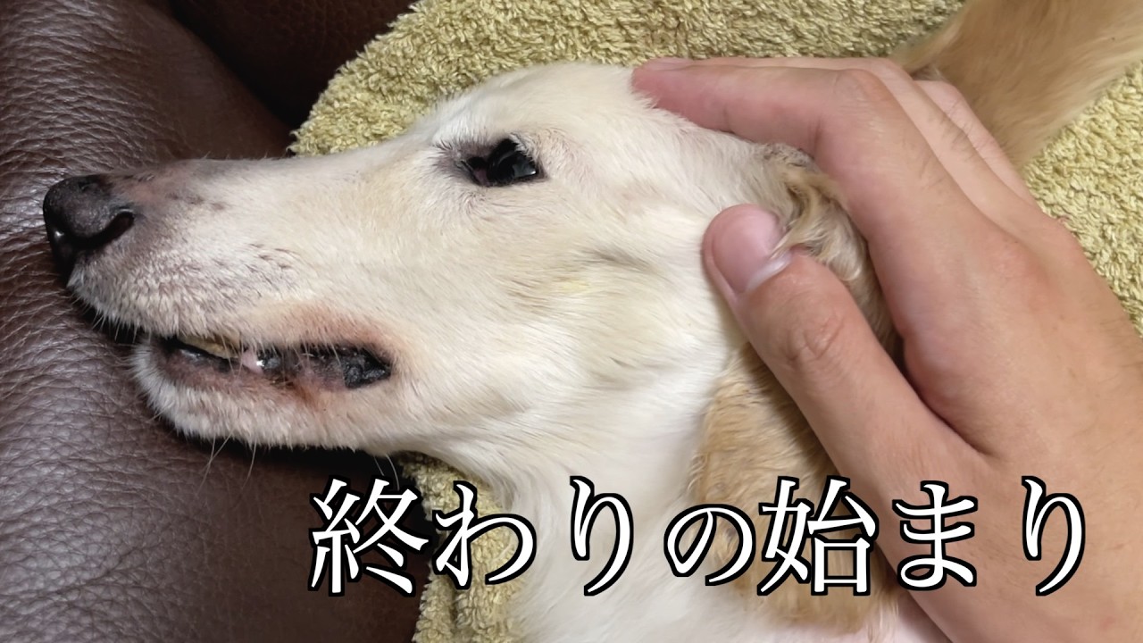 【終わりの始まり】もうカウントダウンは始まっていました。