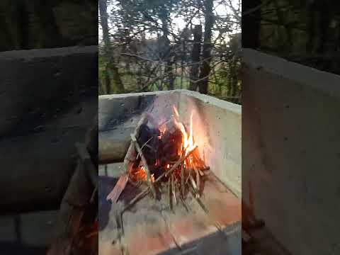 día lunes en nogoya entre rios