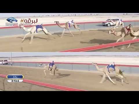 ش14 الخوارة لـ الشيخ محمد بن بطي آل حامد - تمهيدي المرموم الأسبوع الثاني 19-9-2022)لقايا بكار 6:13:4