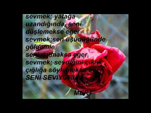 BUAŞK FERMAN DİNLEMEZ.....