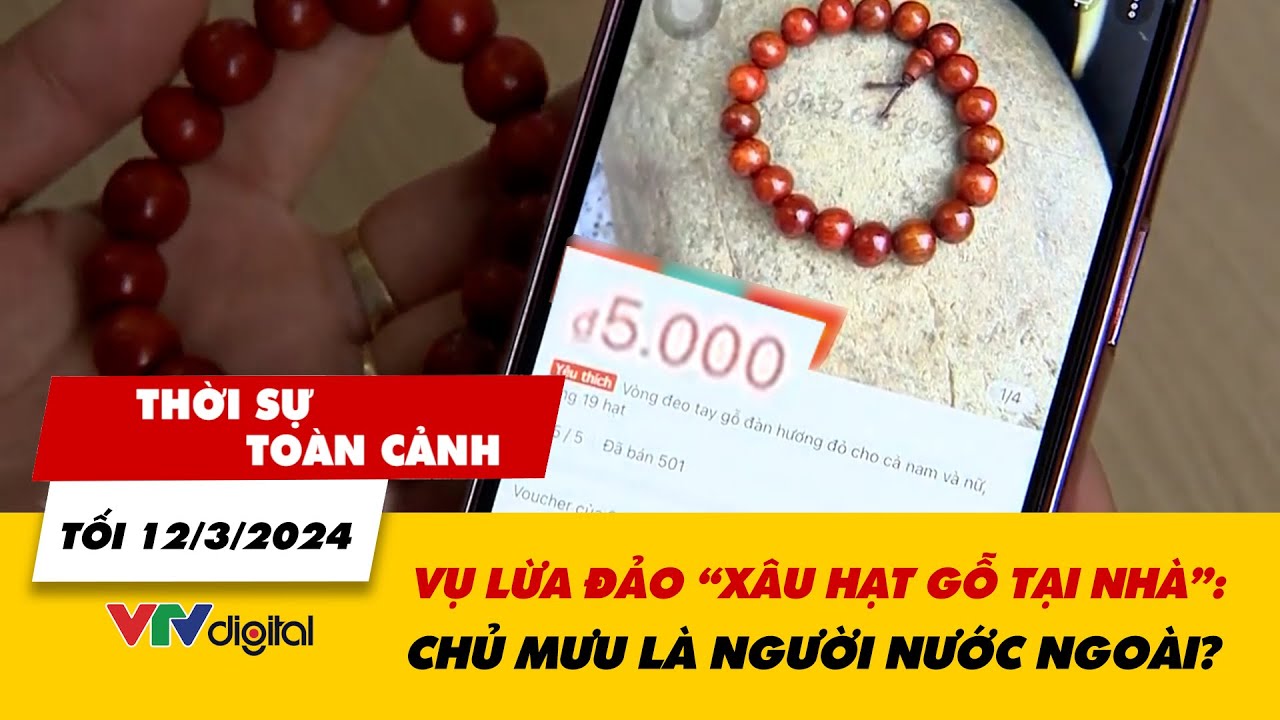Thời sự toàn cảnh tối 12/3: Vụ lừa đảo 'xâu hạt gỗ tại nhà': Chủ mưu là người nước ngoài? | VTV24