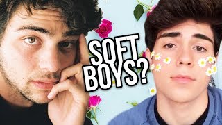 SOFT BOYS EXPLAINED!