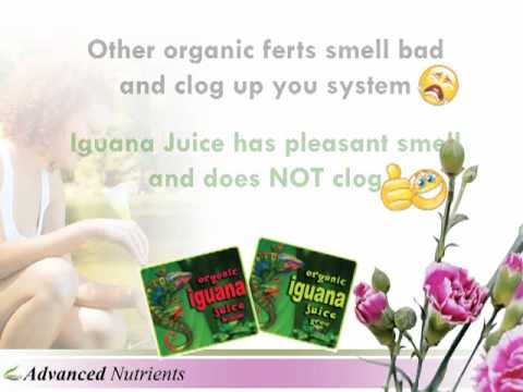 Organic lguana juice