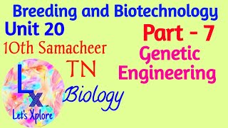 10th std Biology | Unit 20 Breeding and Biotechnology | Genetic Engineering | Part 7 | Samacheer