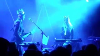 Zigtebra - Specter live