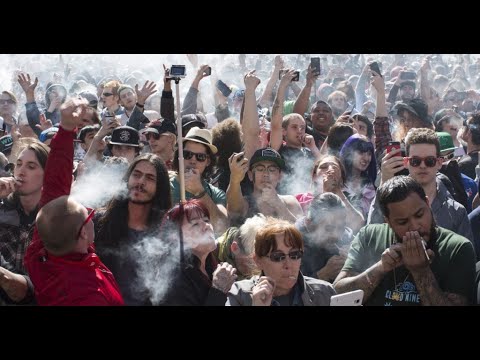 High Zone by OG Hassla x Tryan Steams