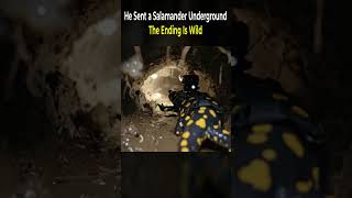 He Sent a Salamander Underground The Ending Is Wild