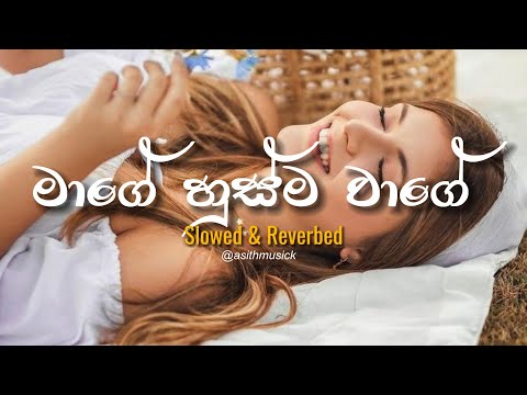 Mage Husma Wage - ( Slowed + Reverb )