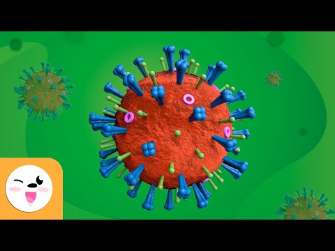 ¿Qué son los virus? - Ciencias para niños - Partes de los virus