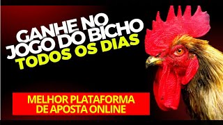???? Como Apostar no Jogo do Bicho Online - Conheça a Melhor Casa de Apostas para Jogo do Bicho Online