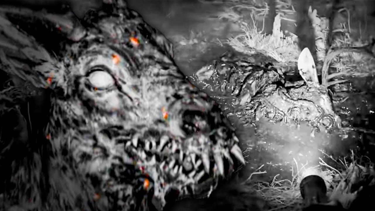 O Solo está devorando Animais Vivos...