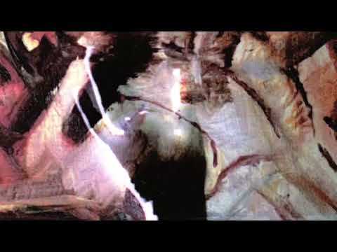 Flawed Mangoes - Mindgame (Visualizer)