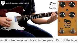 Video thumbnail for Black Cat Pedals Mini Trem Tremolo by Prymaxe