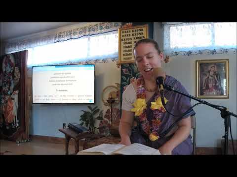 SB class 3.25.30 Lavanga