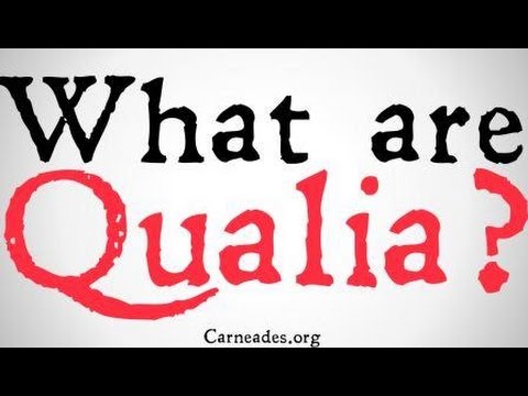 What are Qualia? (Philosophical Definitions)