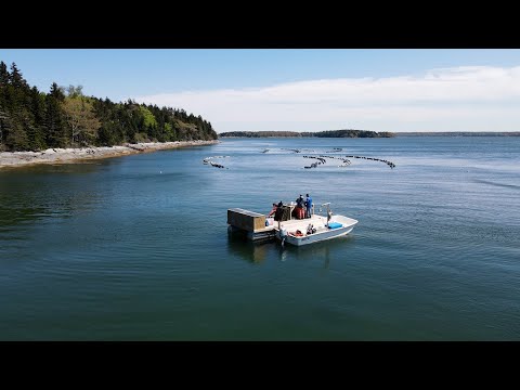 Maine Food Story - Season 1, Episode 7 - Midcoast Aquaculture