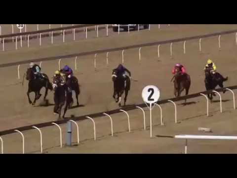 Noble secret breezing to a debut victory at the Vaal