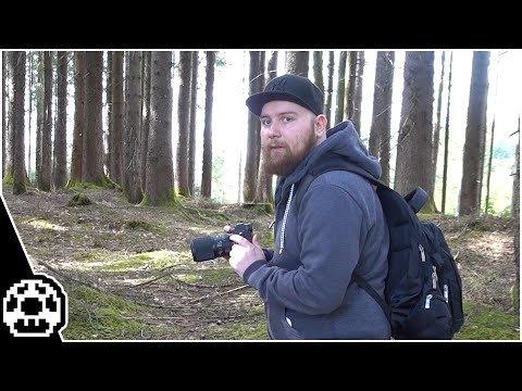 Mogi macht Bilder im Wald