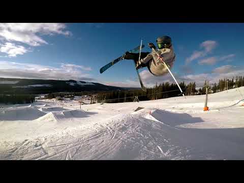 Samuel Ålander - 2016/2017