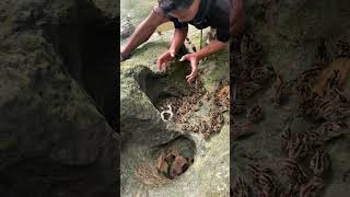 Download lagu Waw banyak banget😱 mp3 Download lagu Waw banyak banget😱 mp3