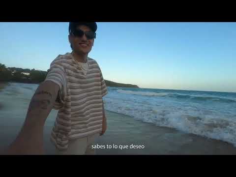 Davinccii x Rvf - Treehouse (Visualizer)