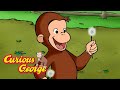 George Plants New Wildflowers Curious George Kids Cartoon Kids Movies