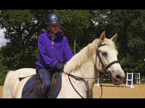 🌟 Schoolmaster Pony Club Pony 🌟 - Image 2