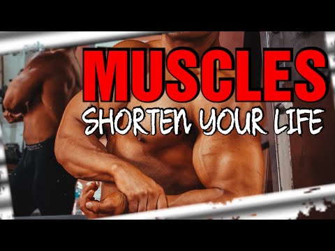 Muscles Shorten Your Life