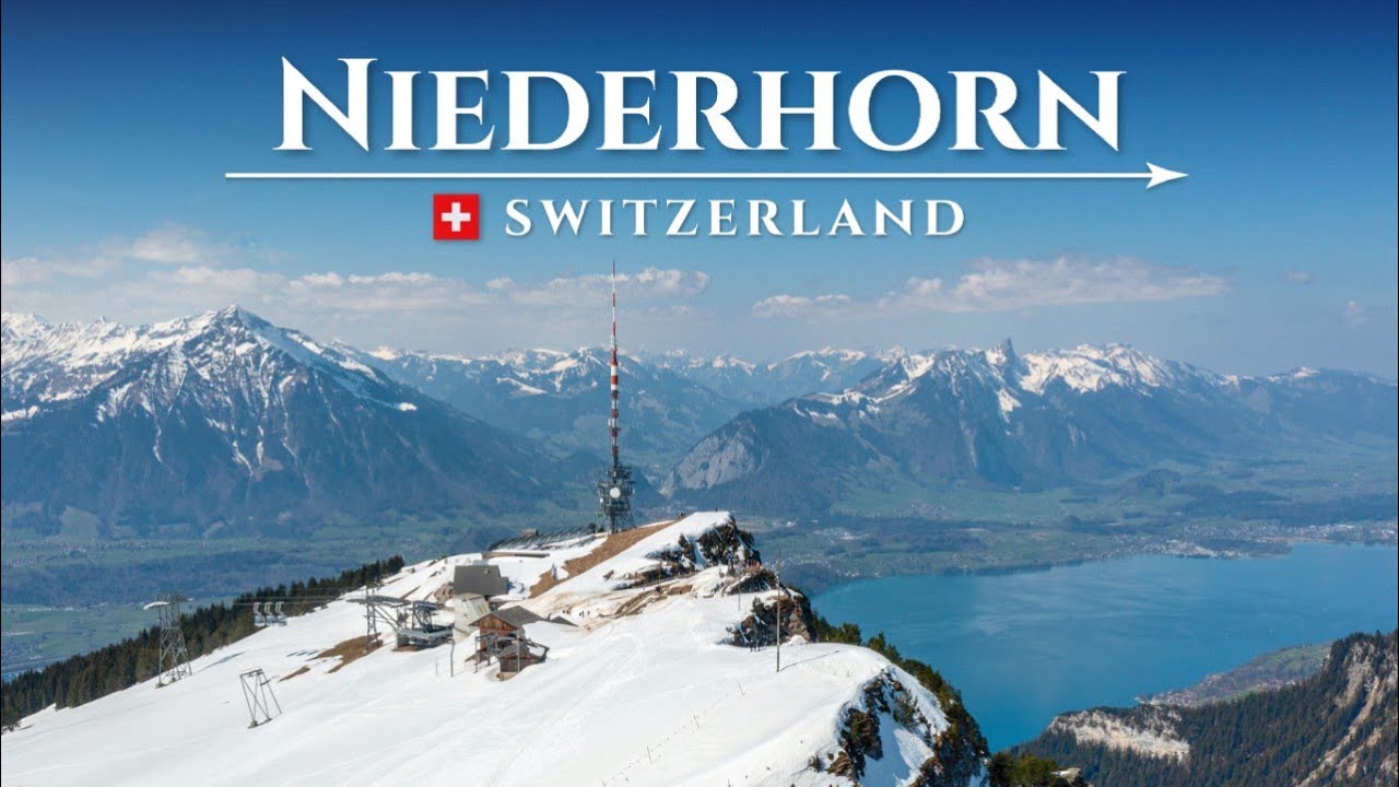 Join a traveler on a journey to the majestic Niederhorn Summit.