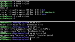 Linux - Permission 4 : directory