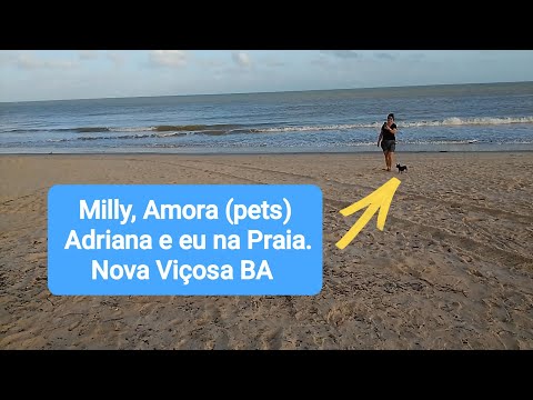 Vejam nossos pets na praia. Nova Viçosa BA.