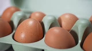 Изображение товара Контейнер для яиц Eggs To Go, белый