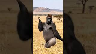 Download lagu 🤣Tantangan Jangan Tertawa 💃🤣 #viral #tren #lucu #komedi #videopendek mp3 Download lagu 🤣Tantangan Jangan Tertawa 💃🤣 #viral #tren #lucu #komedi #videopendek mp3