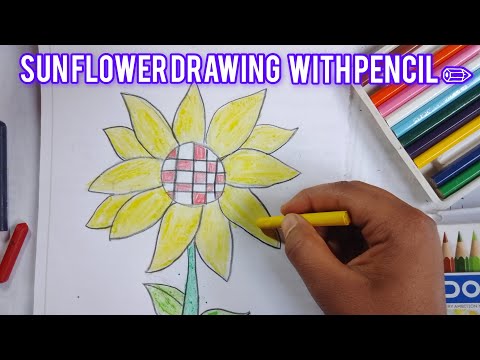 Drawing with me How to draw Sun flower Drawing easy drawing step by step 😍😍
