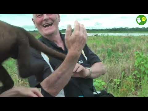 20 Times When Animals Reunited With Owners After Years Make You Cry in a Special Way 2025 #75