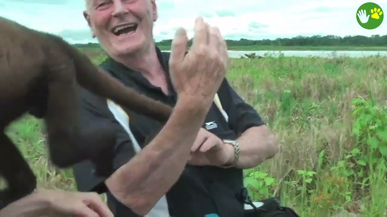 20 Times When Animals Reunited With Owners After Years Make You Cry in a Special Way 2025 #75